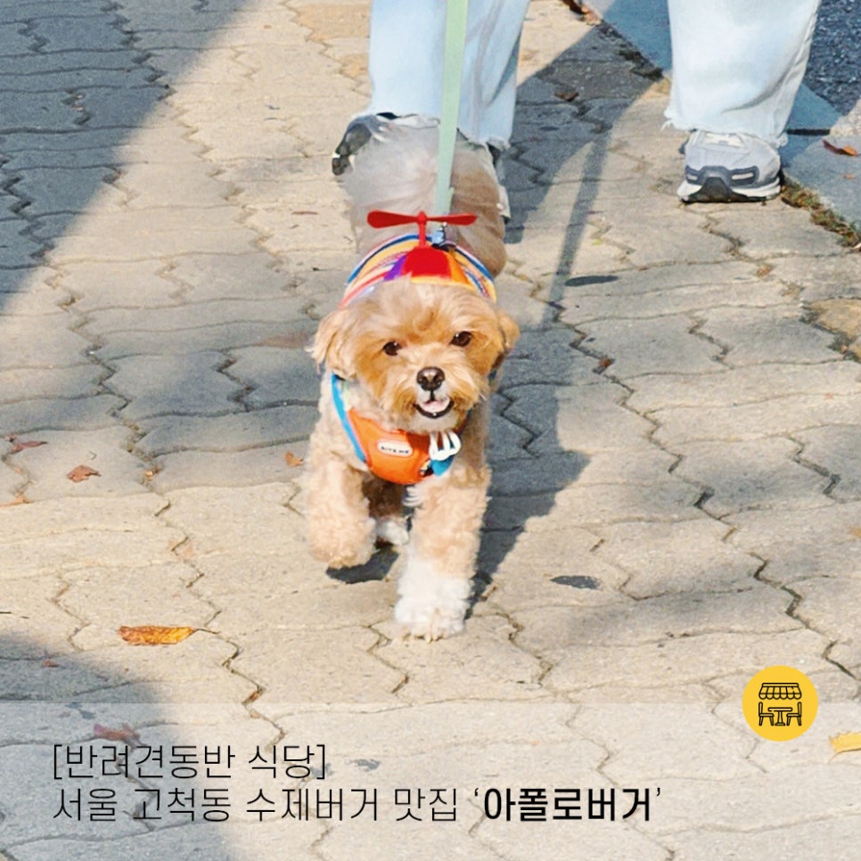 아폴로버거 이미지