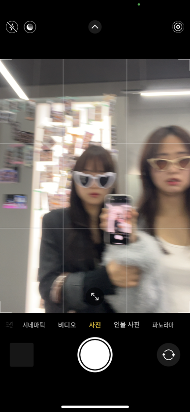 돼지나라 이미지