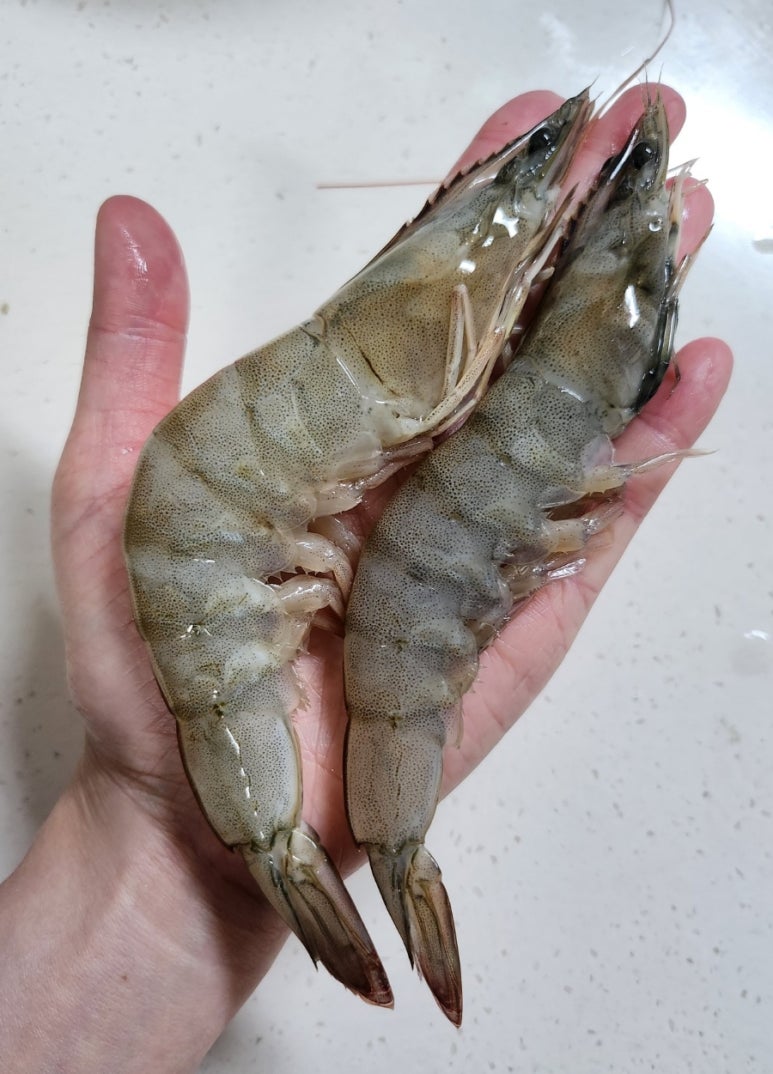 신해수산 이미지