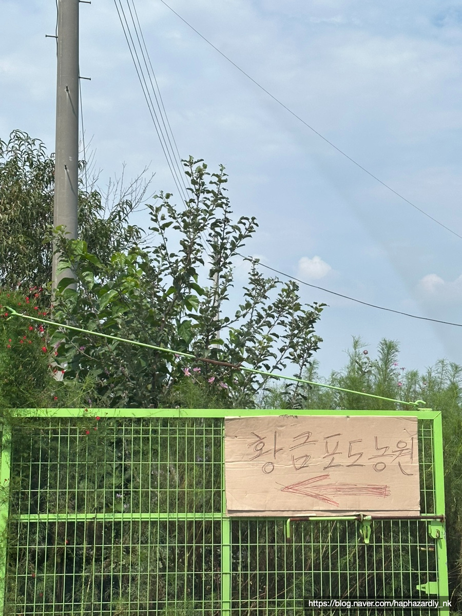 강화도황금농원 이미지