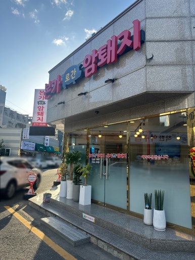 본가로 간 암퇘지 이미지