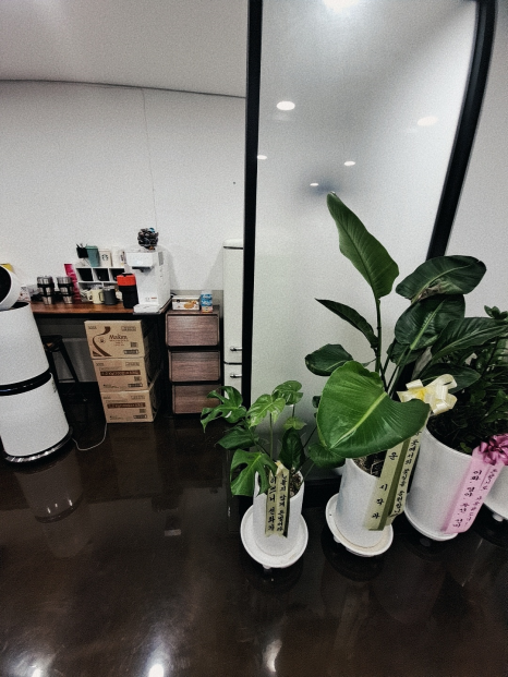 찬란세무회계 이미지