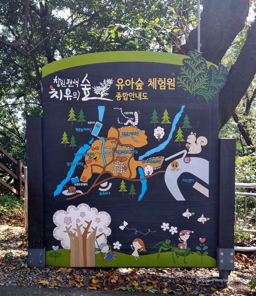 창원 편백치유의숲 유아숲체험원 이미지