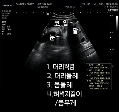 마미스튜디오 이미지