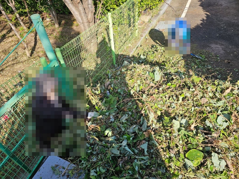 정원건설안전 이미지
