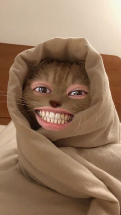 행복하면돼지 이미지
