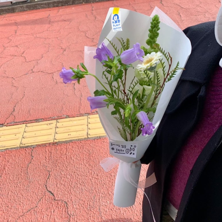 플랜트휴먼 이미지