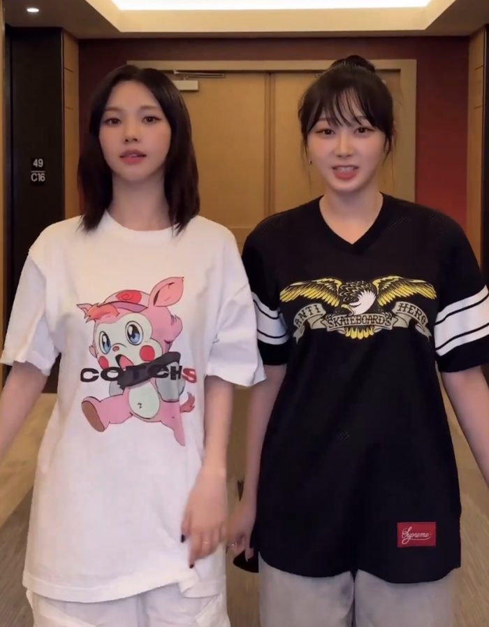 카치스(COTCHS) 이미지