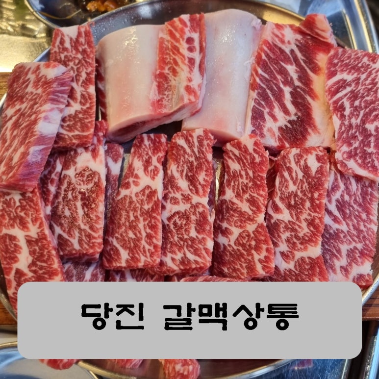 갈맥상통 이미지
