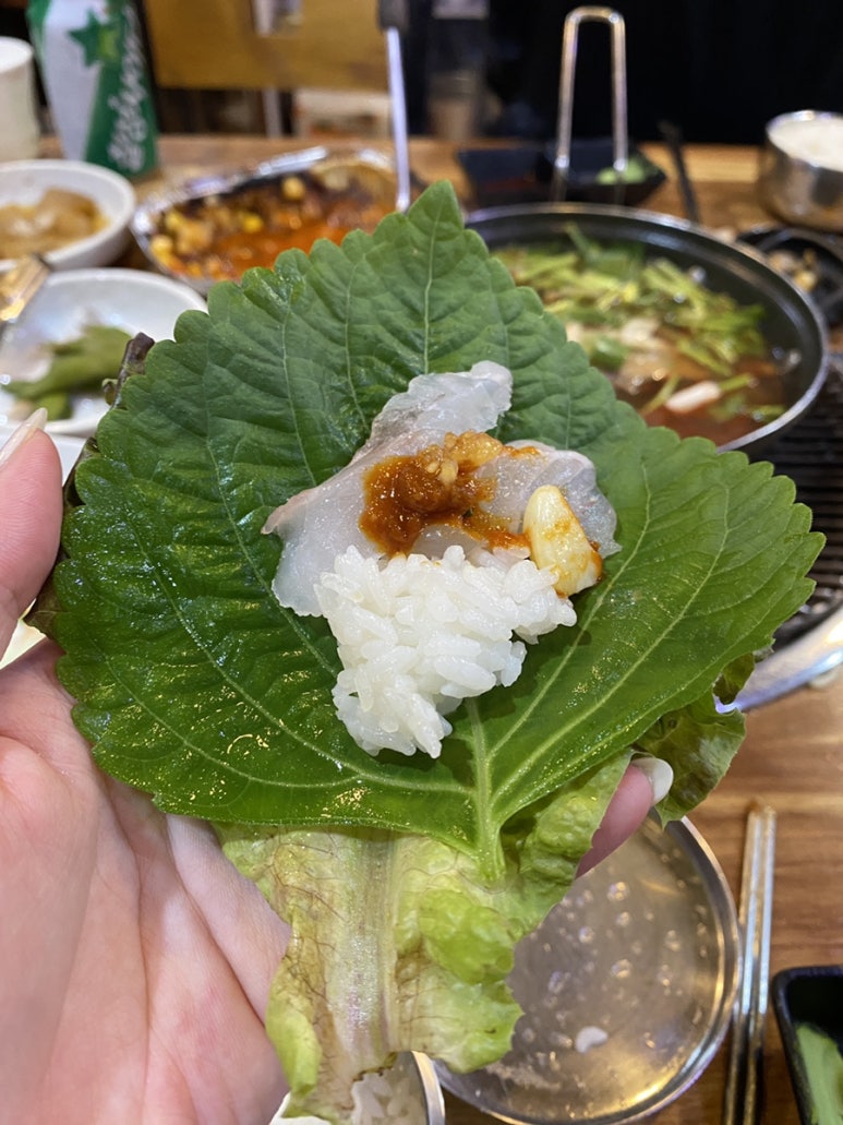회양;조개군 이미지