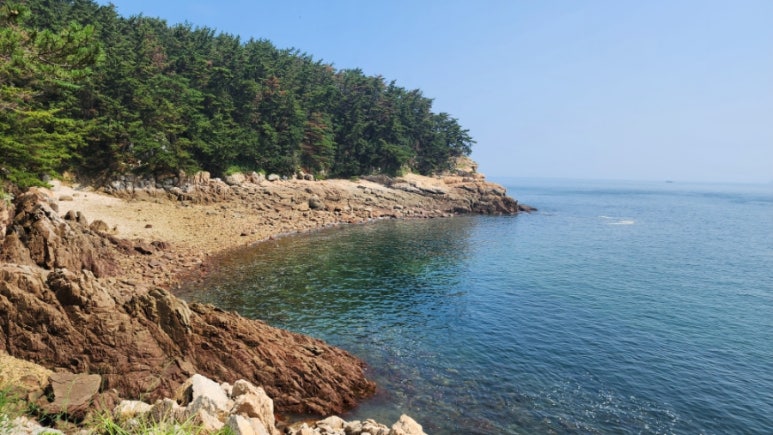 주식회사 자연속요정 이미지