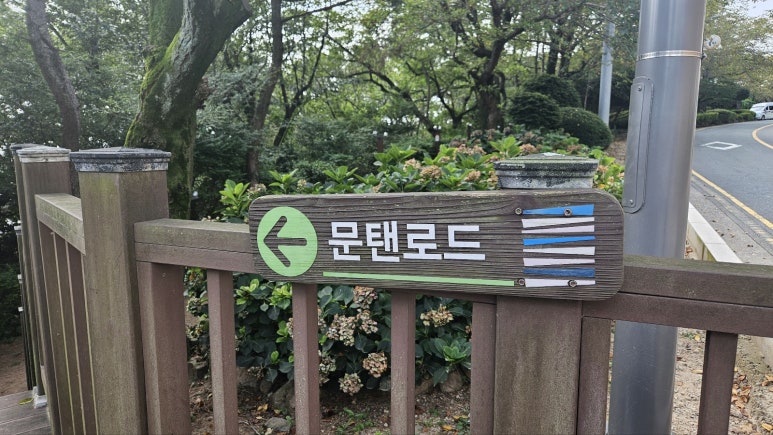 달맞이언니 이미지