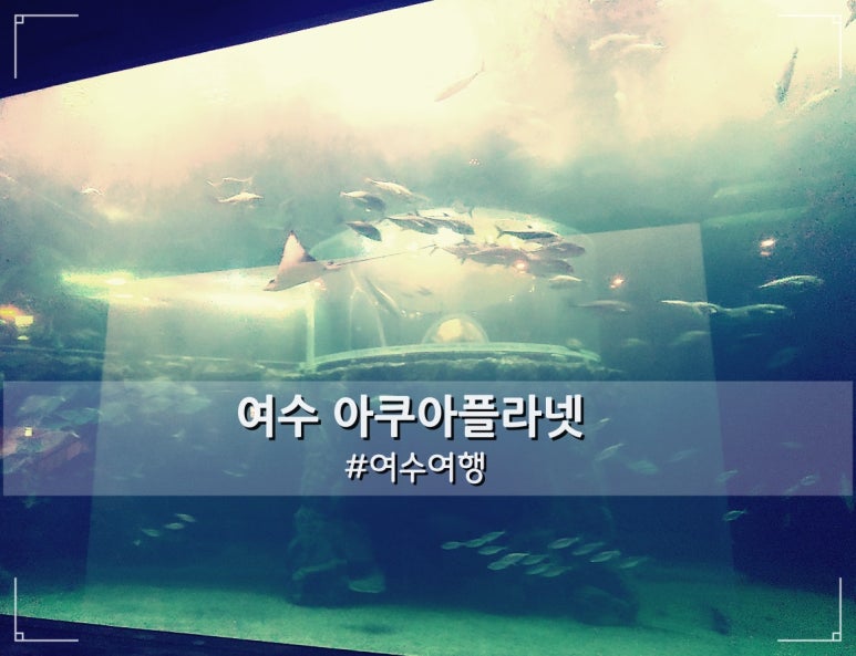 (주)보고아쿠아 이미지