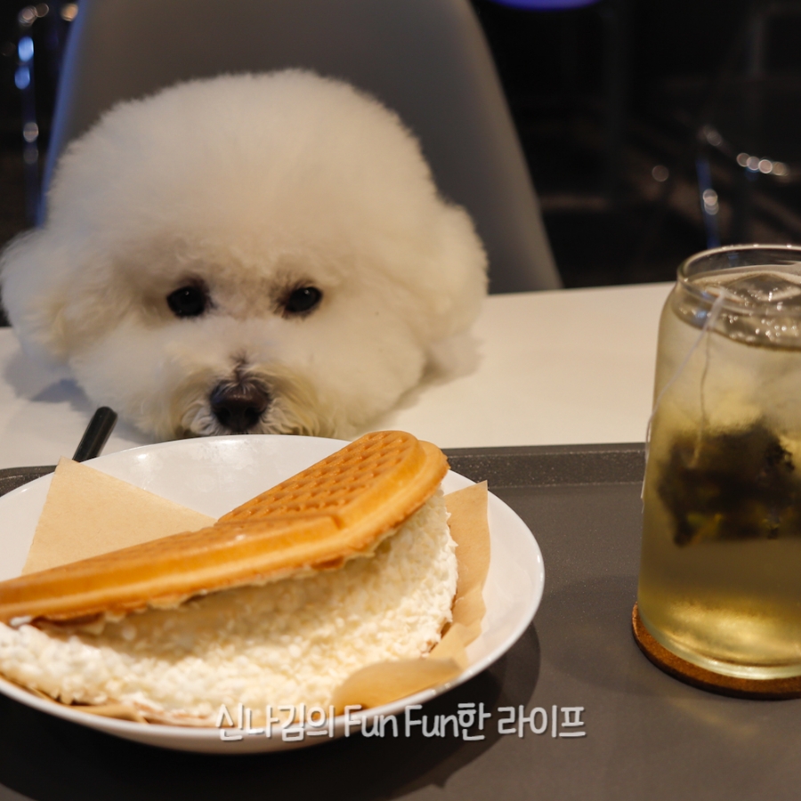 카페인중독동두천 이미지