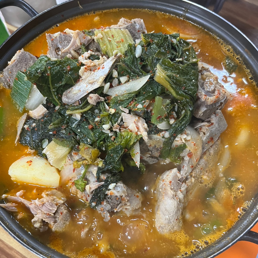 반디야식 이미지