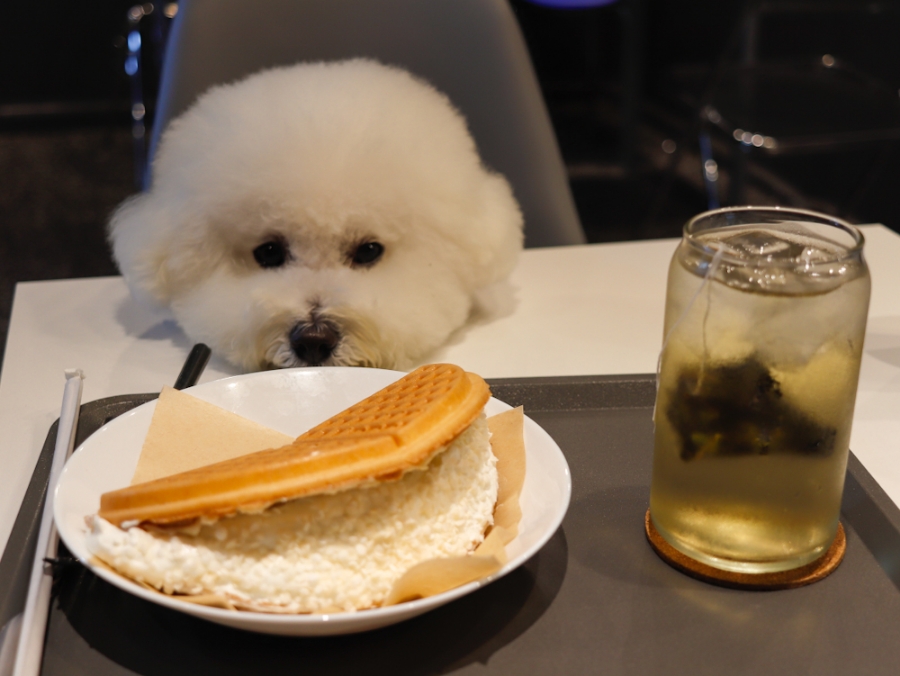 카페인중독동두천 이미지