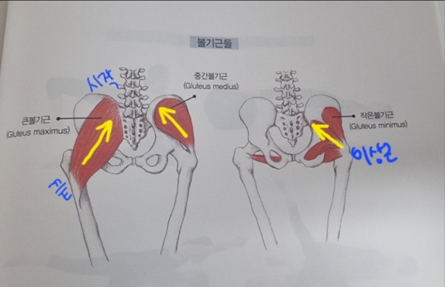 신전에너지 이미지