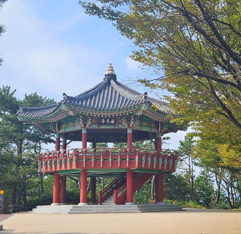 달맞이언니 이미지