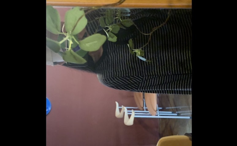 젠틀베어 이미지