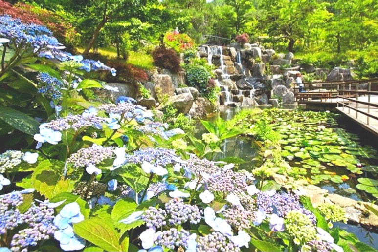 숲속분재원 이미지