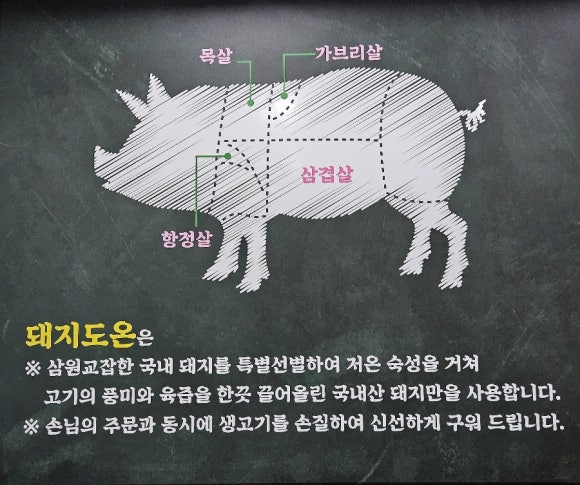 돼지도온 이미지