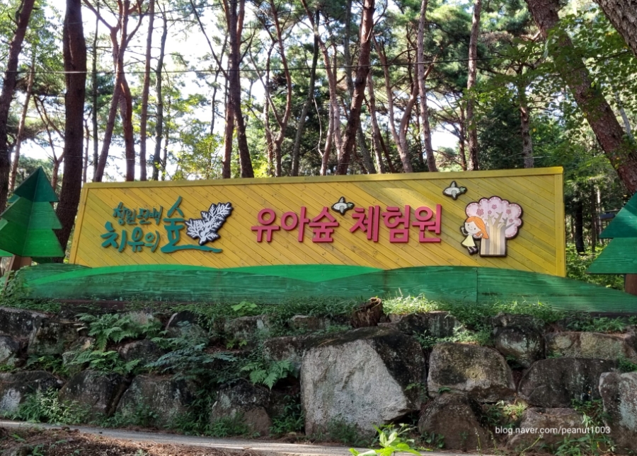 창원 편백치유의숲 유아숲체험원 이미지