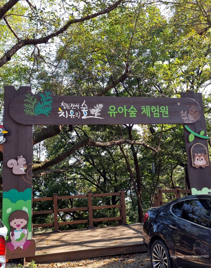 창원 편백치유의숲 유아숲체험원 이미지