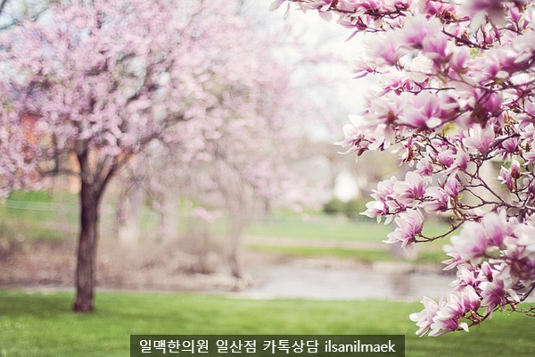 (주)사계절 이미지