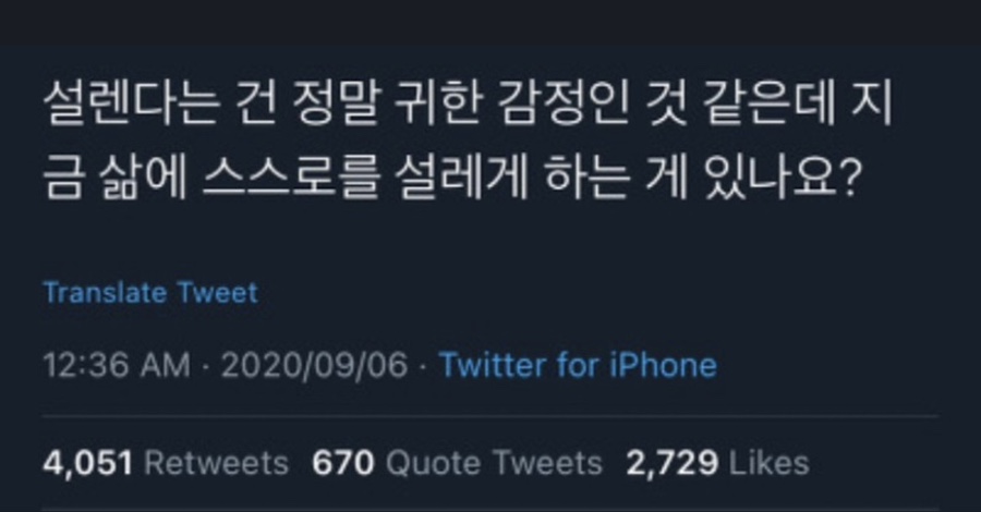 타운카페 이미지