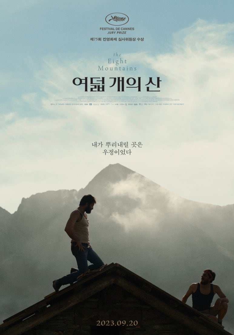 비유화인 이미지