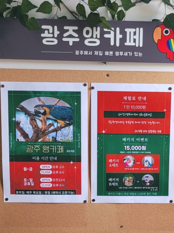 광주앵카페 이미지