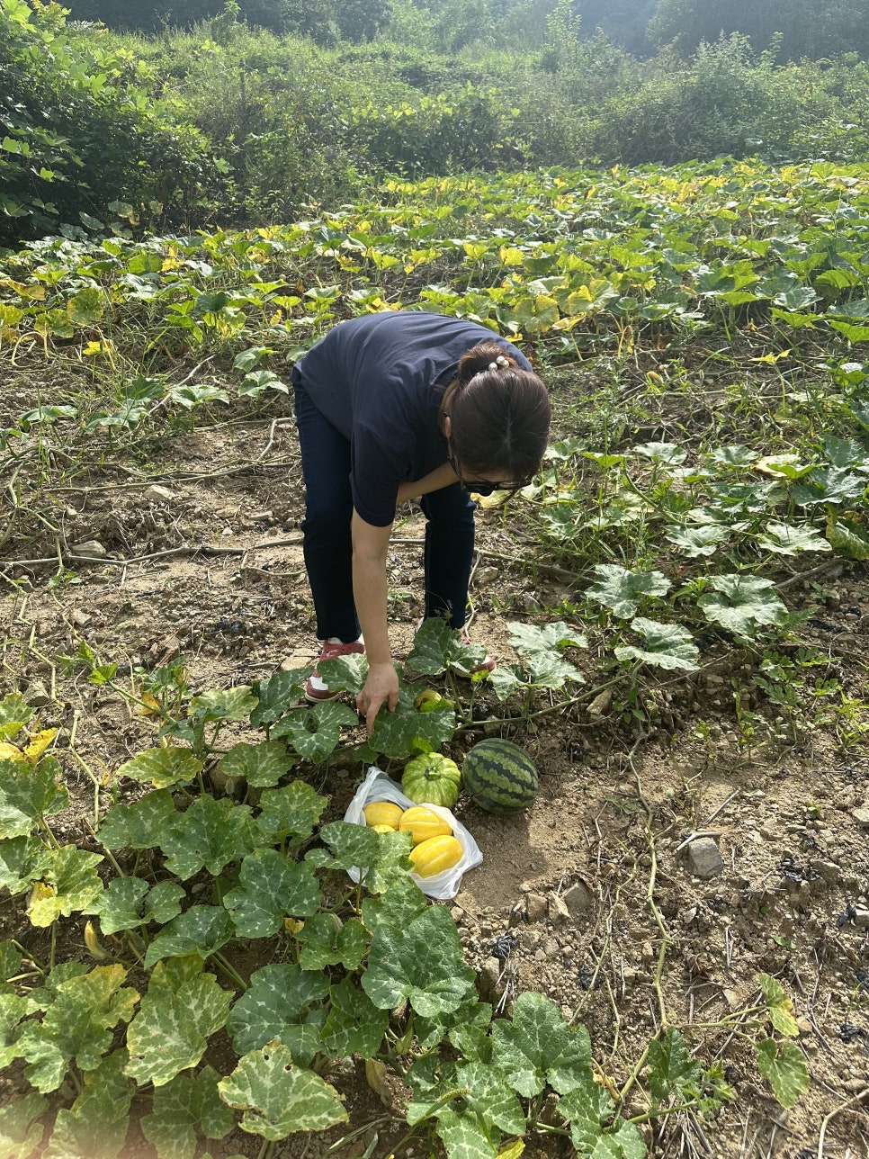 푸르메식당 이미지