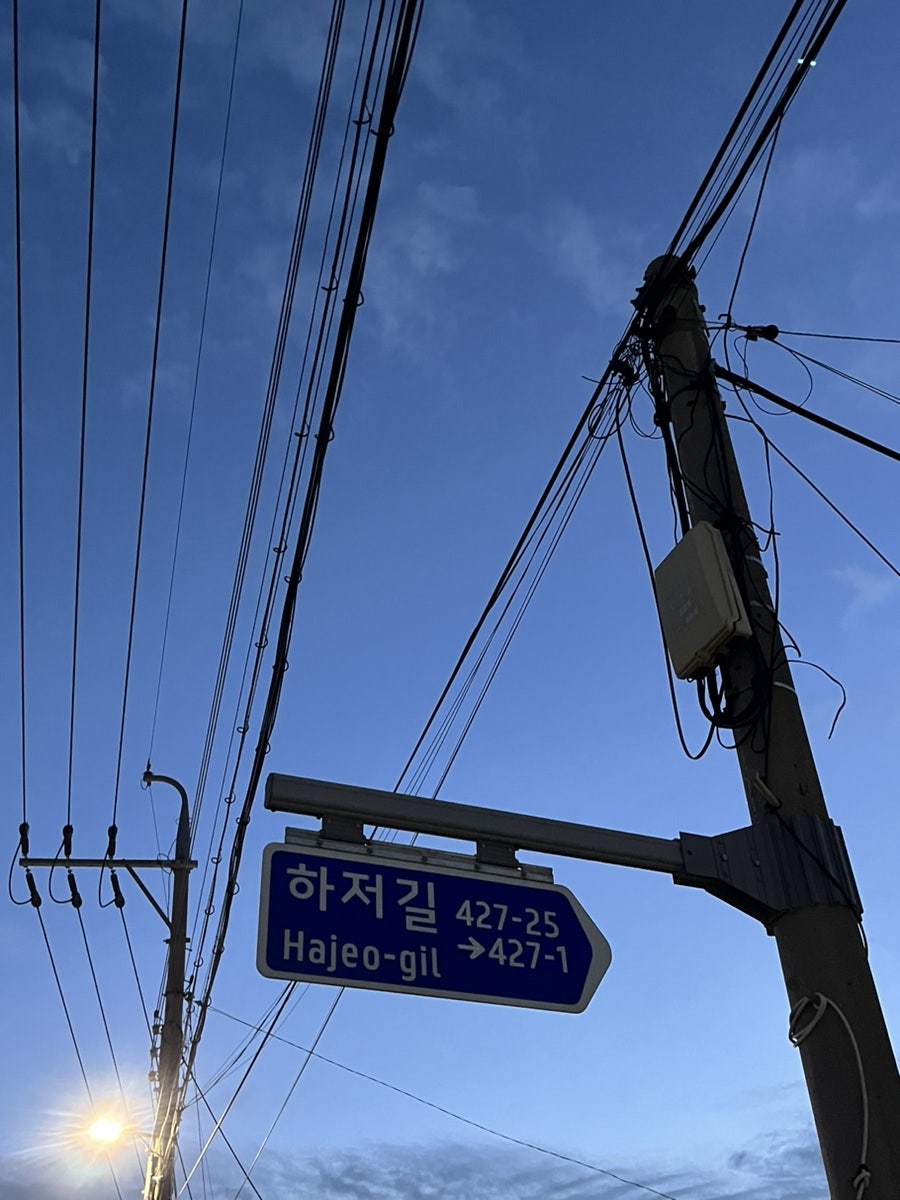 찐 하루살이 이미지