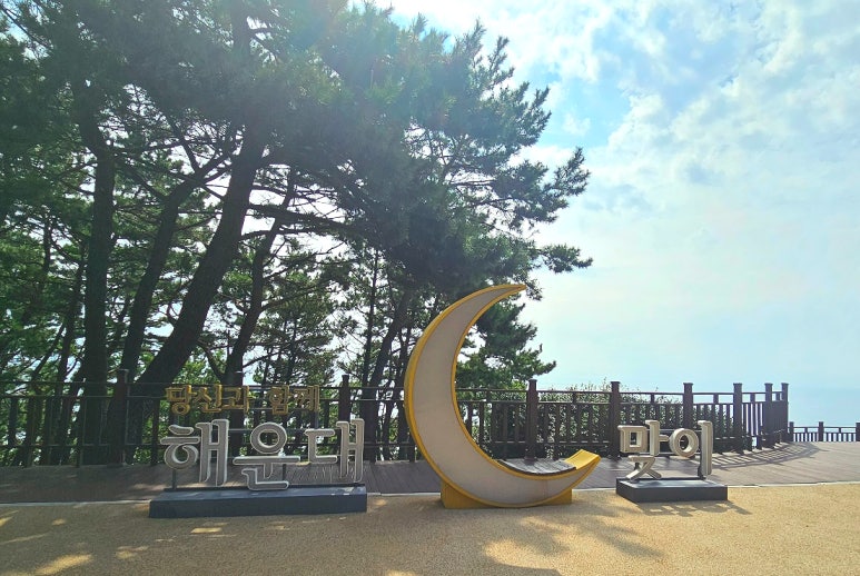 달맞이언니 이미지