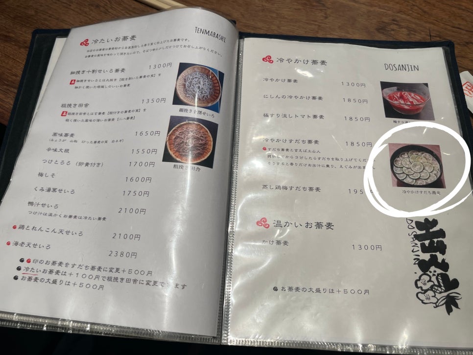 덴마몰 이미지