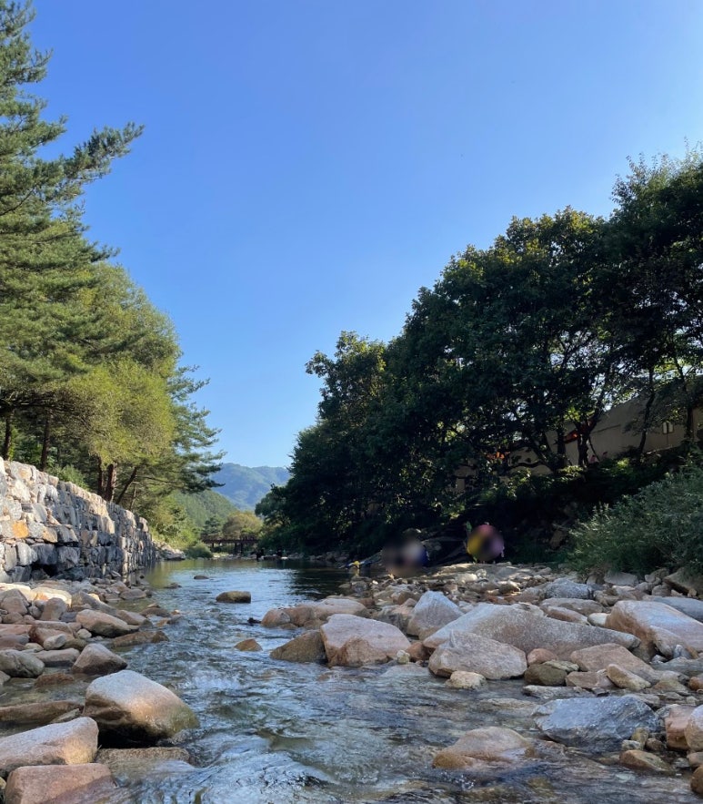 별이 빛나는 밤에 글램핑 이미지