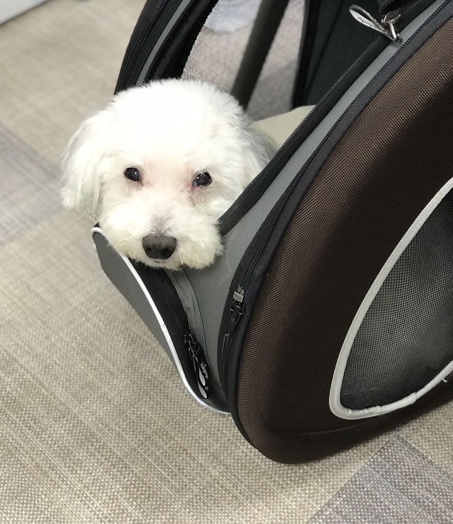 네추럴레매디 이미지