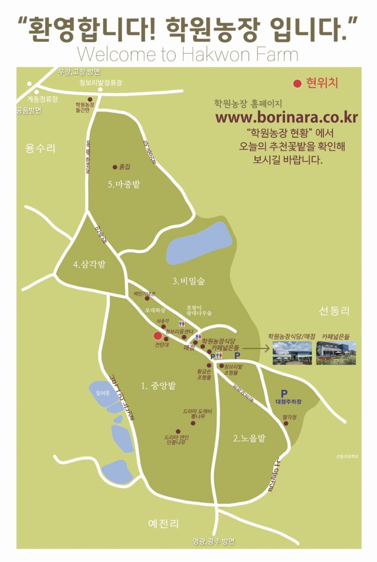 메밀꽃카페 이미지