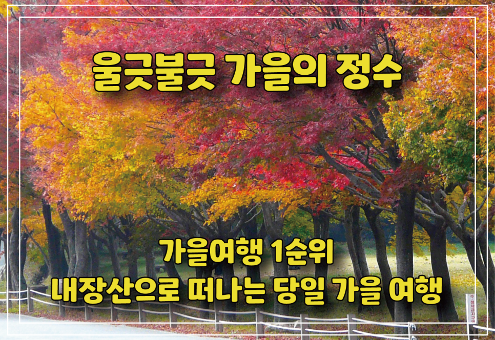 주원항공여행사 이미지