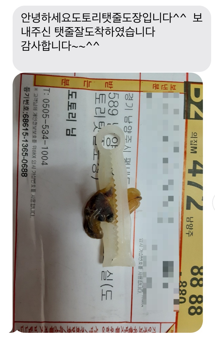 이서방케이스 이미지