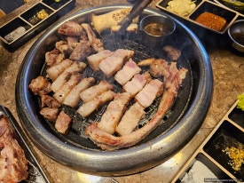 노형근고기 이미지