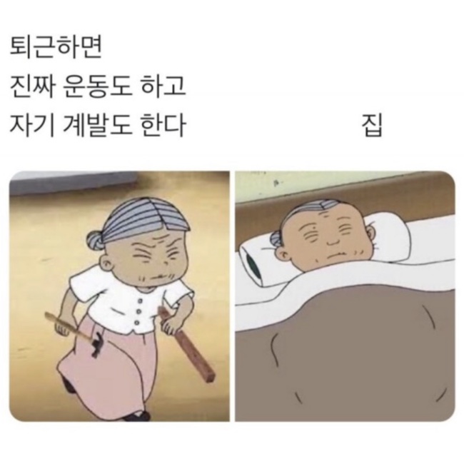 완벽한날들 이미지