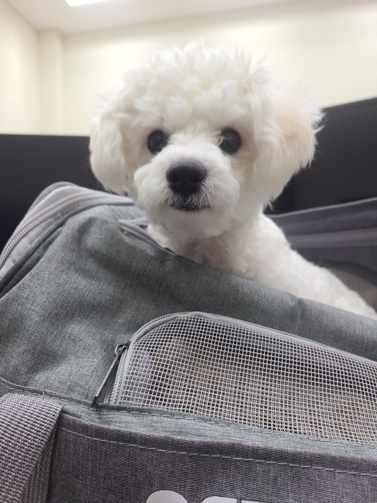 주식회사 오월 이미지