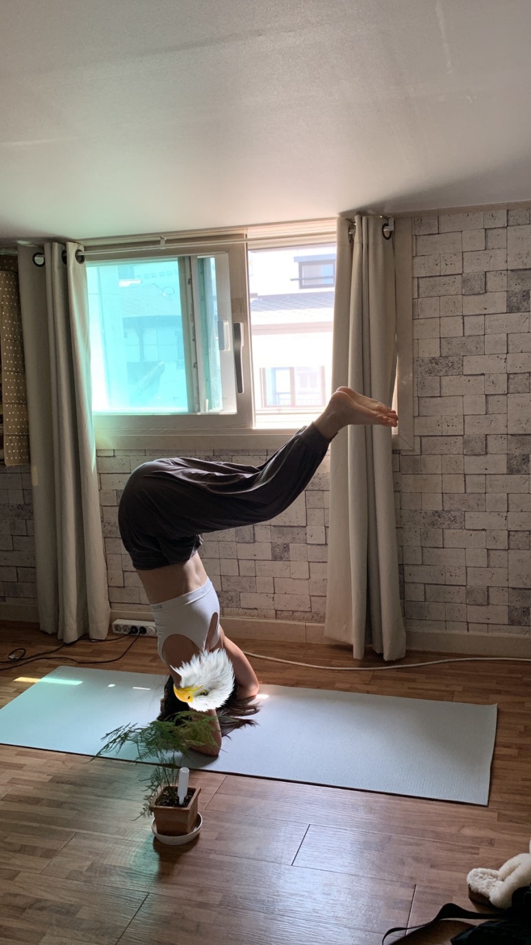 윤꼬 이미지