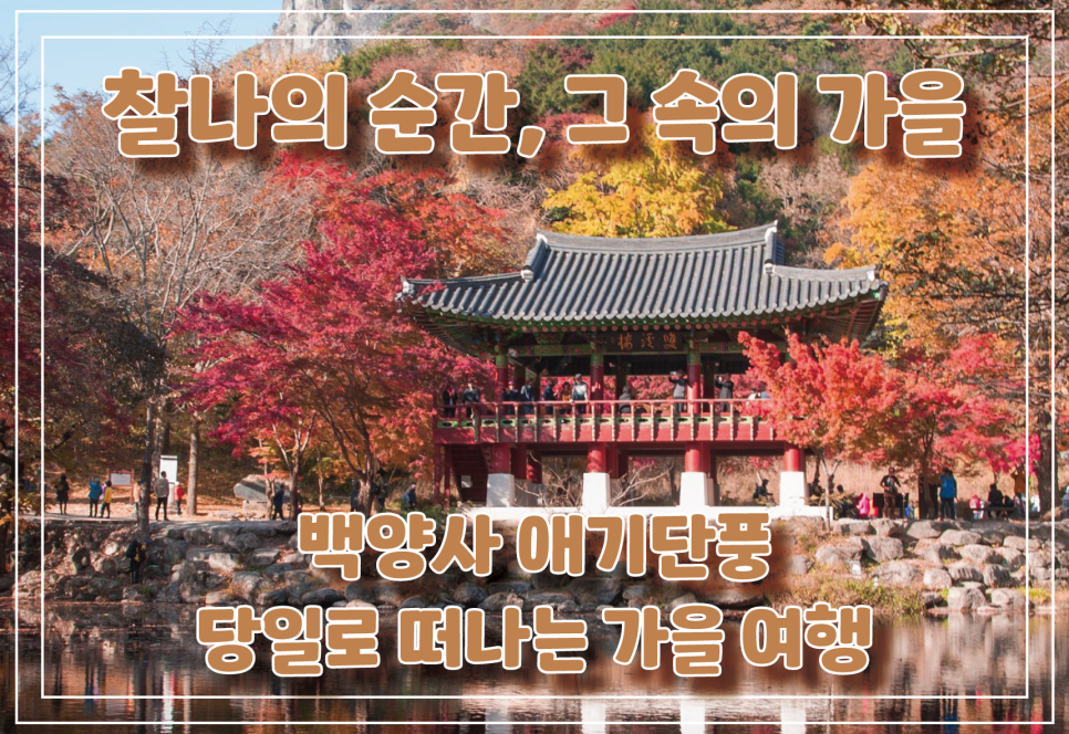 주원항공여행사 이미지