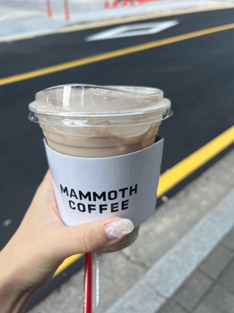 매머드익스프레스서초 이미지