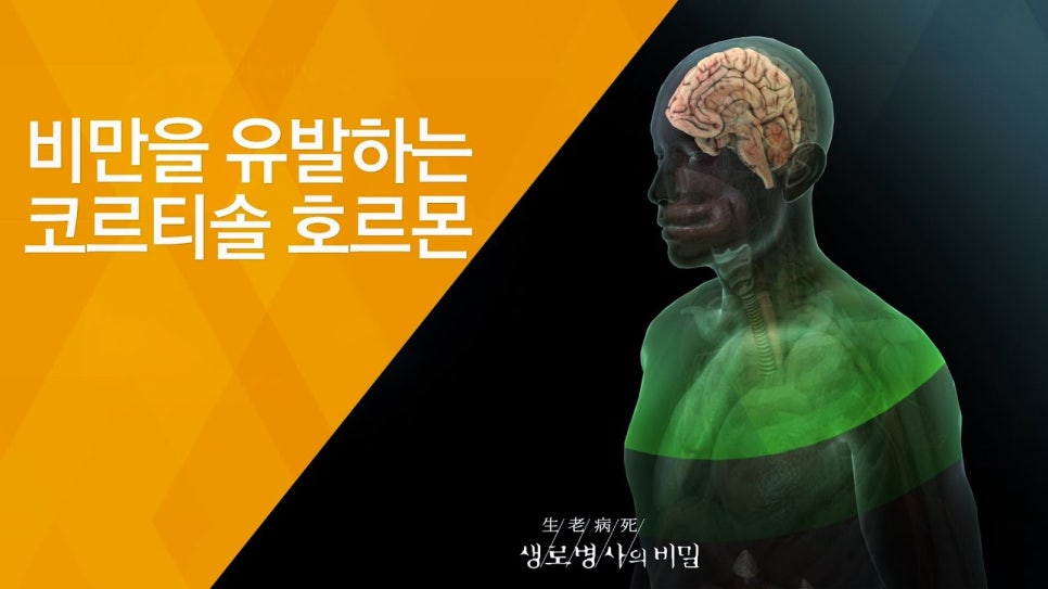 팩트짐 이미지