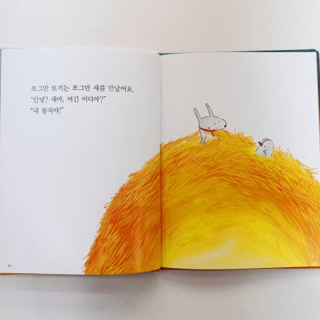 둥지라라랜드 이미지