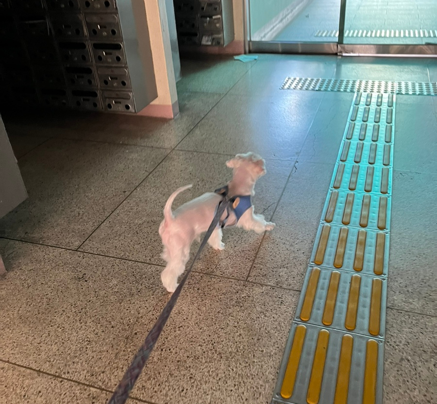 일품양평해장국월곶점 이미지
