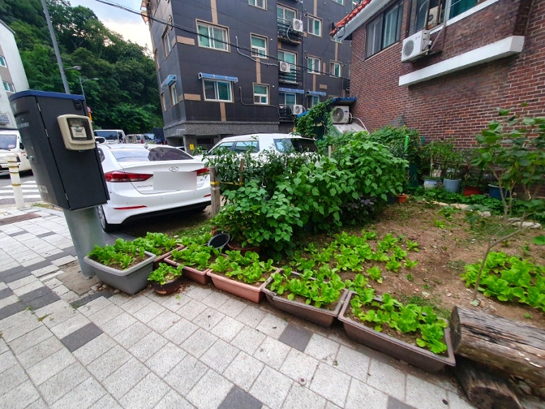 슬기둥도토리수제비 이미지